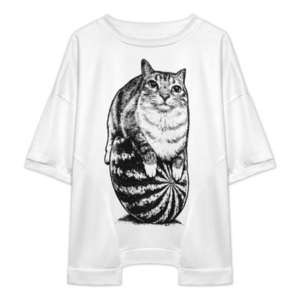 Funny Cat Watermelon Graphic Oversized Tee, Chubby Kitty Meme Shirt, Vintage Aesthetic Animal Streetwear Casual Loose Top(z508)