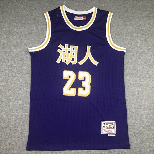 Men's Los Angeles Lakers LeBron James Purple Hardwood Classics Swingman Jerseys