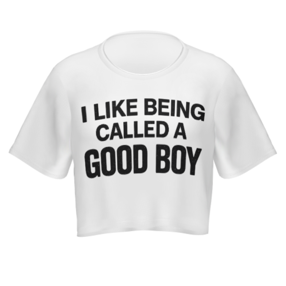 “I Like Being Called A Good Boy” Funny Statement Tee – Bold Meme Graphic Shirt(z464)