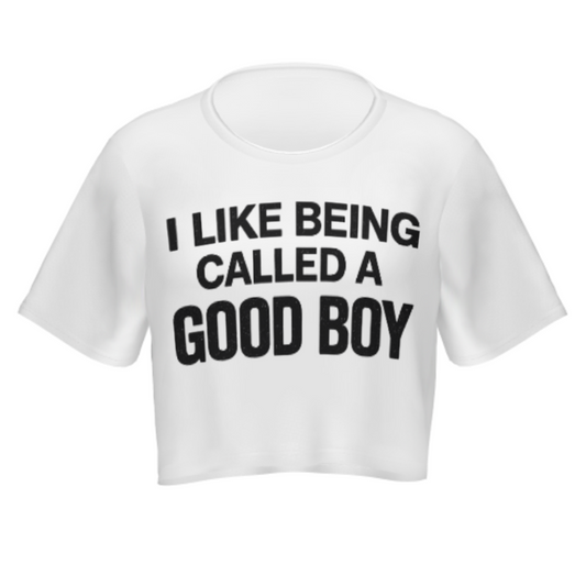“I Like Being Called A Good Boy” Funny Statement Tee – Bold Meme Graphic Shirt(z464)