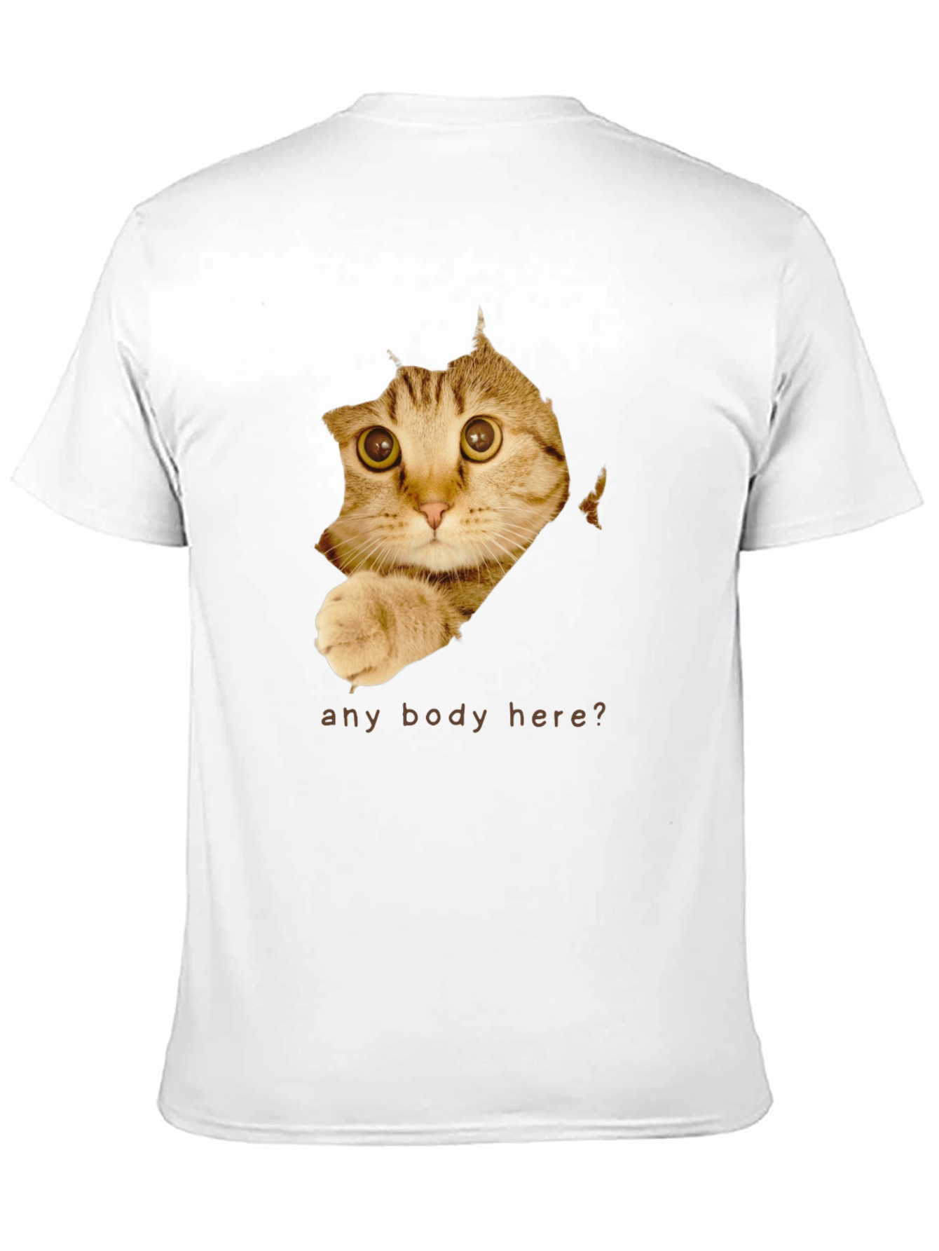 Curious Cat T-Shirt - Any Body Here?