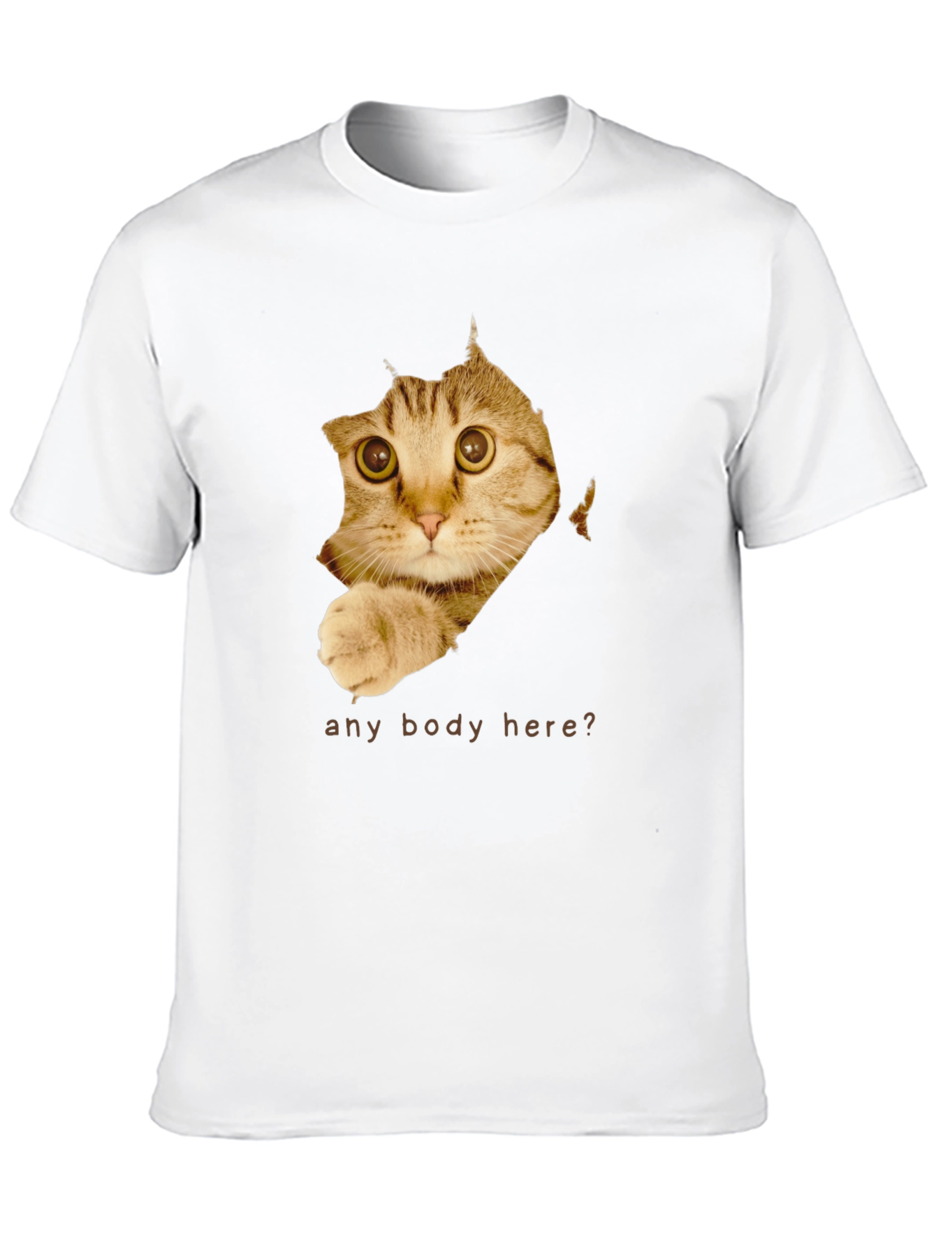 Curious Cat T-Shirt - Any Body Here?