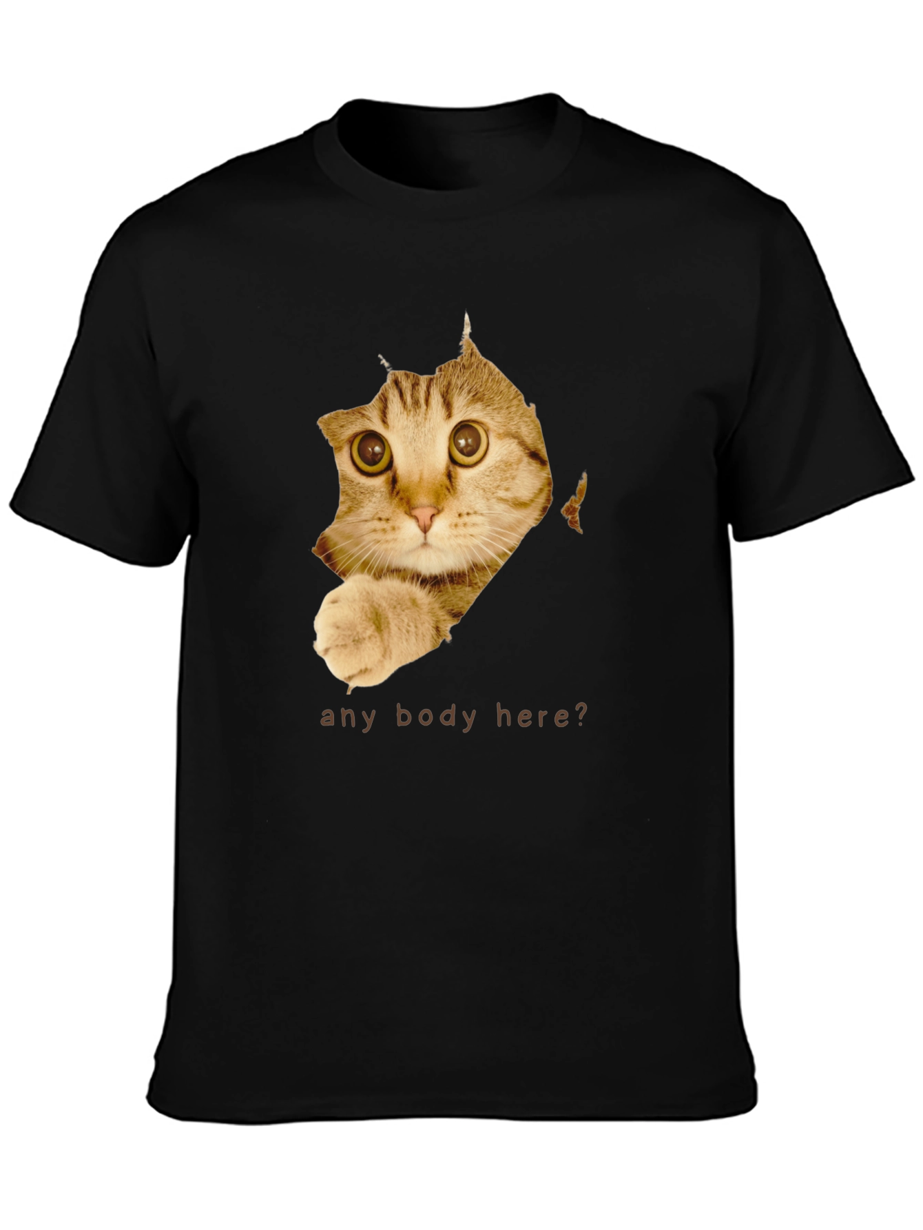 Curious Cat T-Shirt - Any Body Here?