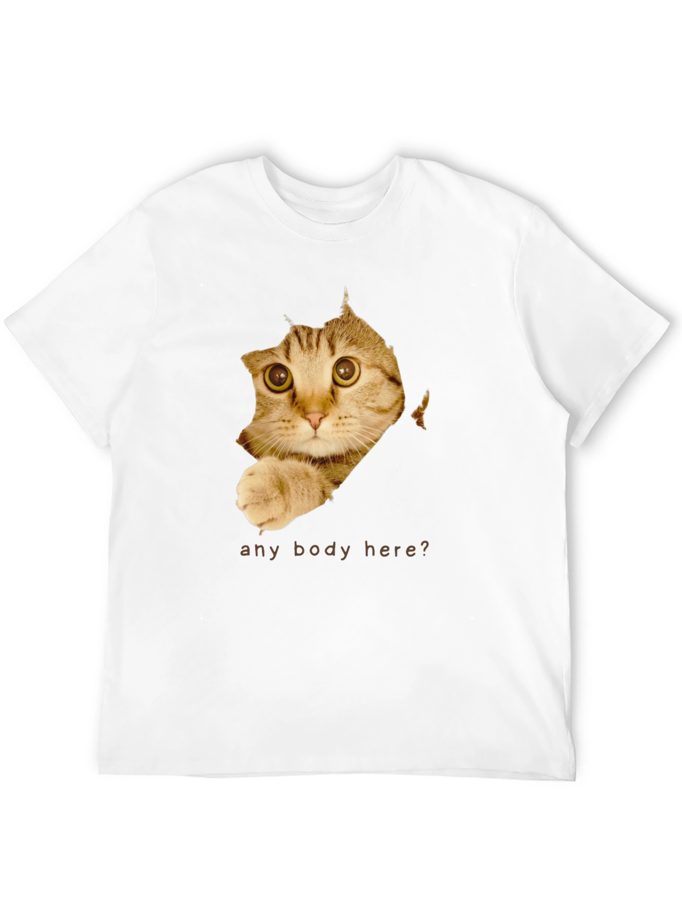 Curious Cat T-Shirt - Any Body Here?