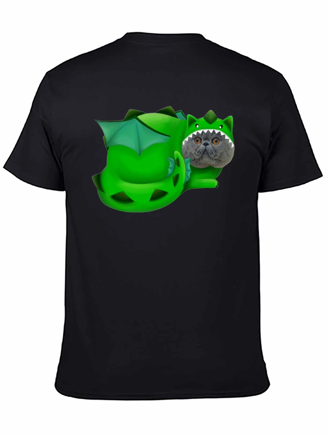Dragon Cat T-Shirt: Funny Pet Graphic Tee