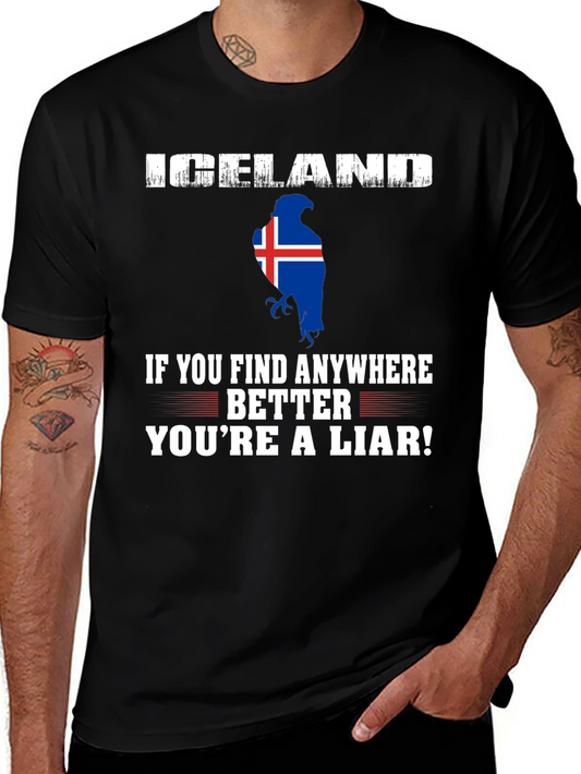 Iceland Eagle Flag Novelty Graphic T-Shirt