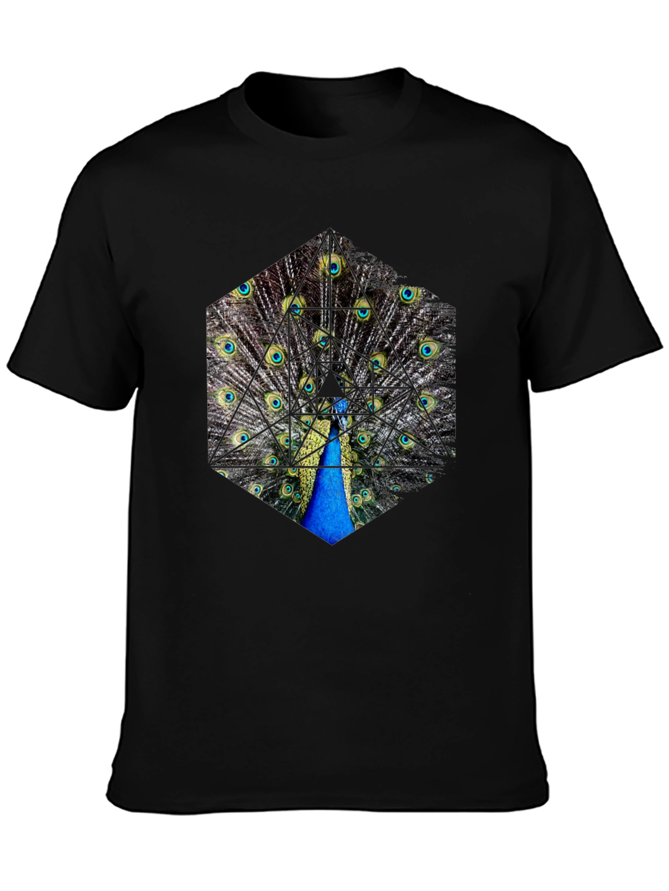 Peacock Feather Hexagon Graphic T-Shirt - Unique Design
