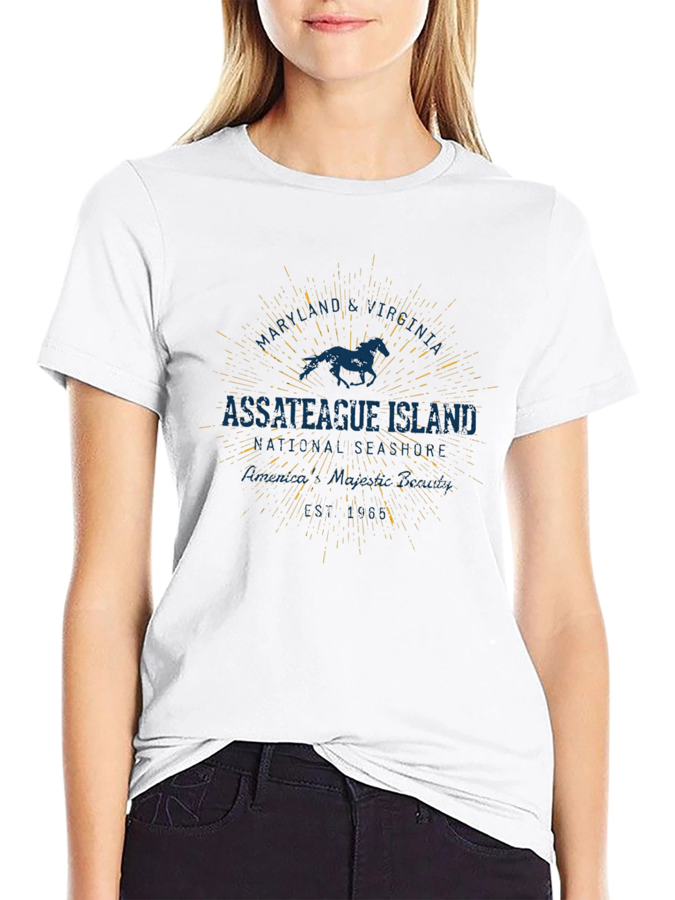 Assateague Island Horse Graphic Black T-Shirt
